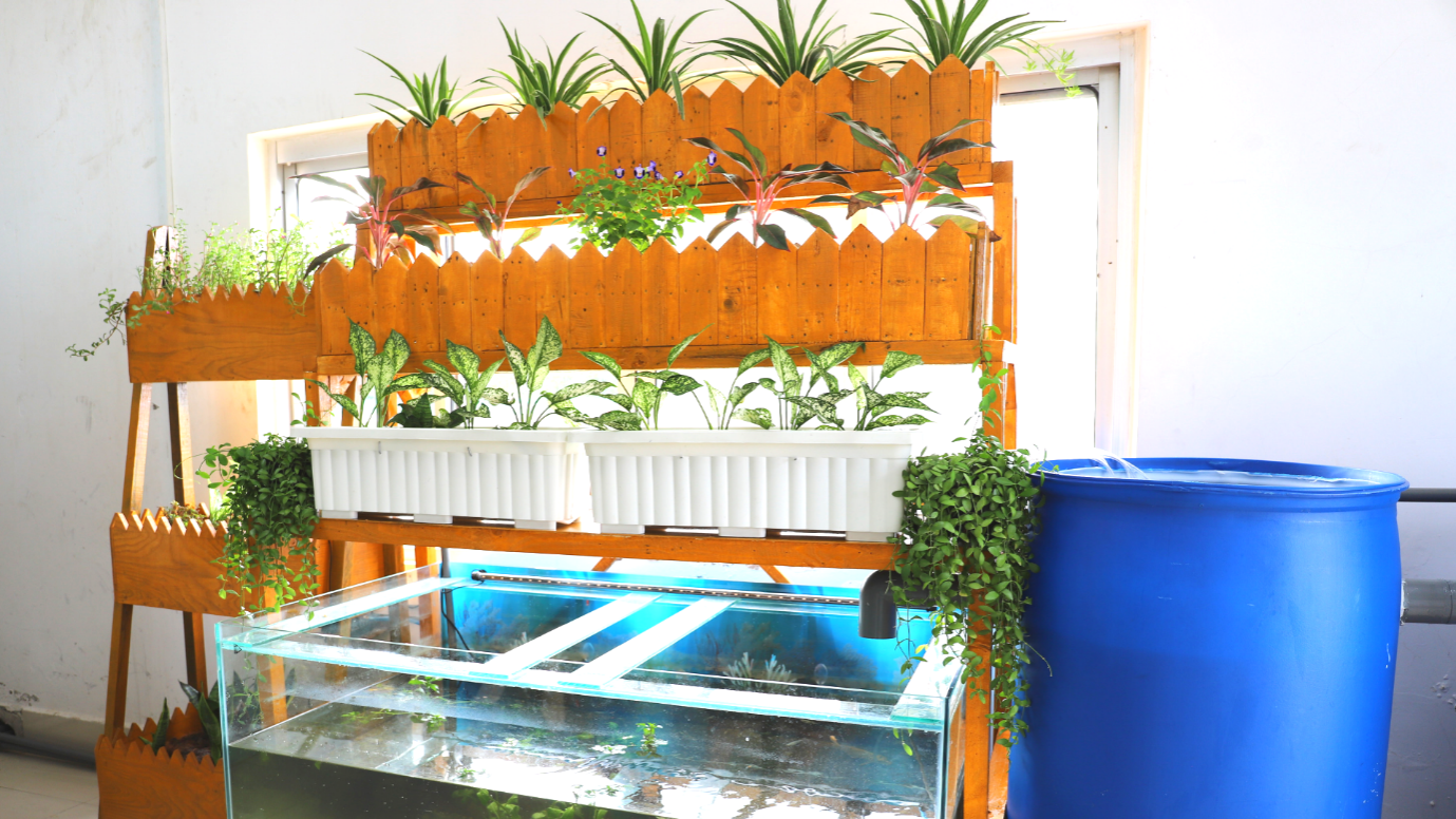 Một góc nhỏ của mô hình “Green Farming” tại phòng quan trắc nước thải của Công ty Giấy Lee&amp;Man Việt Nam