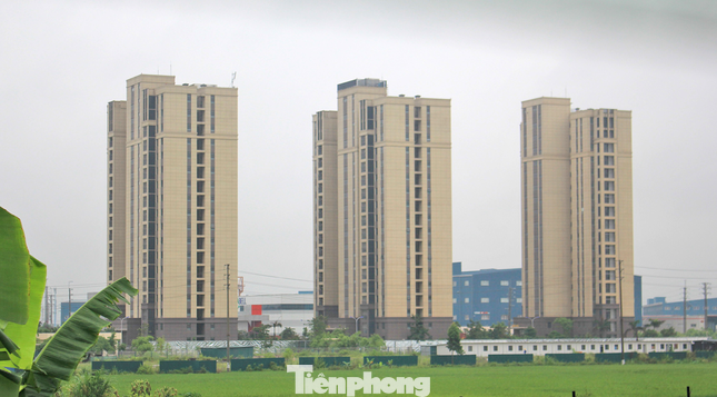 Khu NƠXH Vân Trung, xã Vân Trung, huyện Việt Yên thu hồi 71.000 m2 đất lúa để thực hiện dự án. Khu NƠXH Vân Trung, xã Vân Trung, huyện Việt Yên thu hồi 71.000 m2 đất lúa để thực hiện dự án.