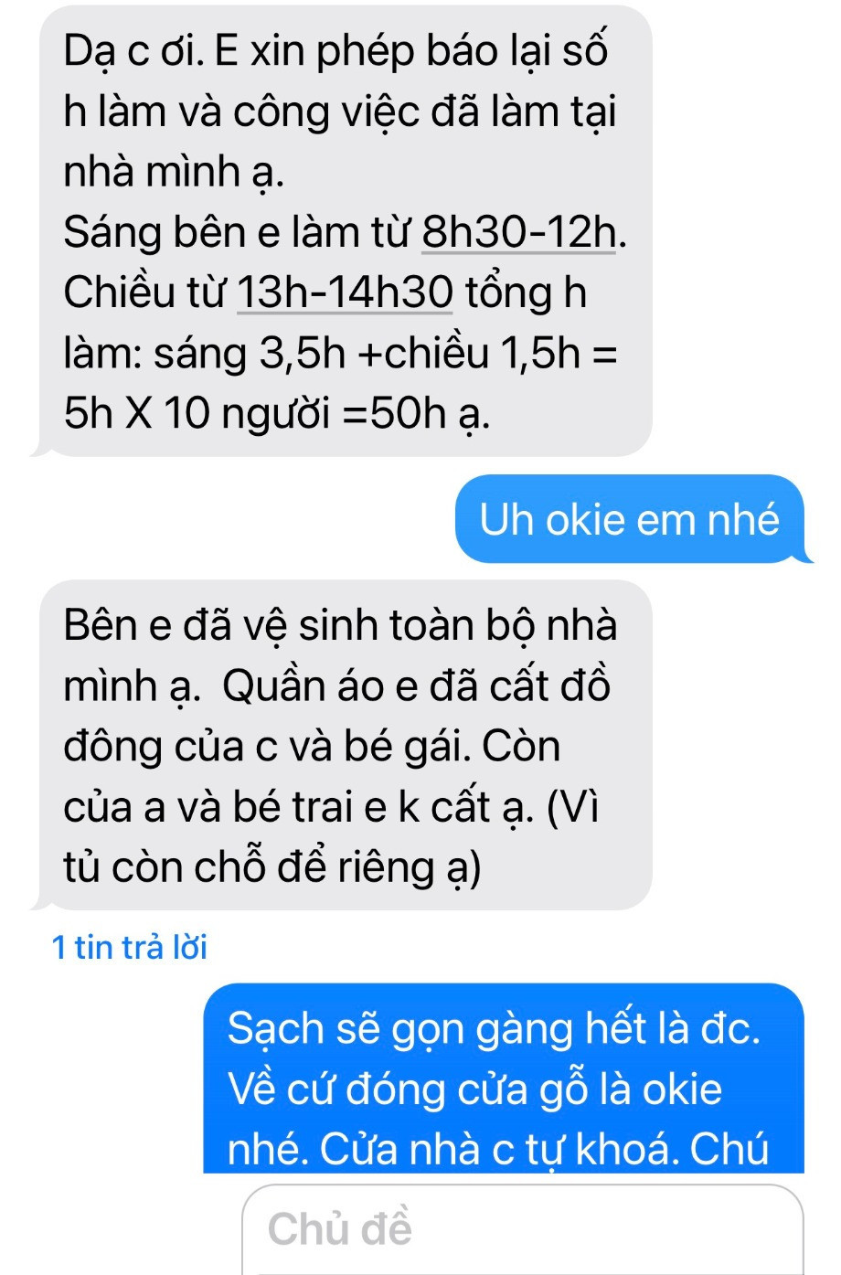 Mỗi lần tổng vệ sinh, căn hộ nhà chị Giang cần từ 50-80 giờ dọn dẹp.