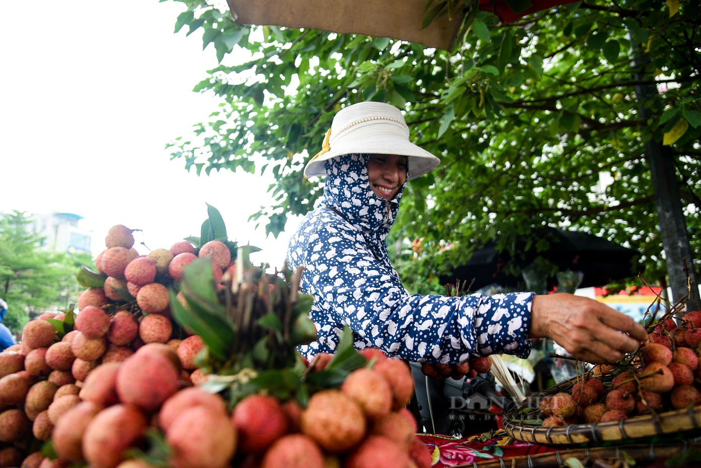 Một tiểu thương bán vải tại Ngã Tư Sở (Thanh Xuân) cho biết: "Hơn tuần nay, mỗi ngày tôi bán được 2 đến 3 tạ vải. Loại vải này được nhập trực tiếp từ vườn vải Thanh Hà, giá lúc nhập là từ 7.000 đến 10.000 đồng/kg".
