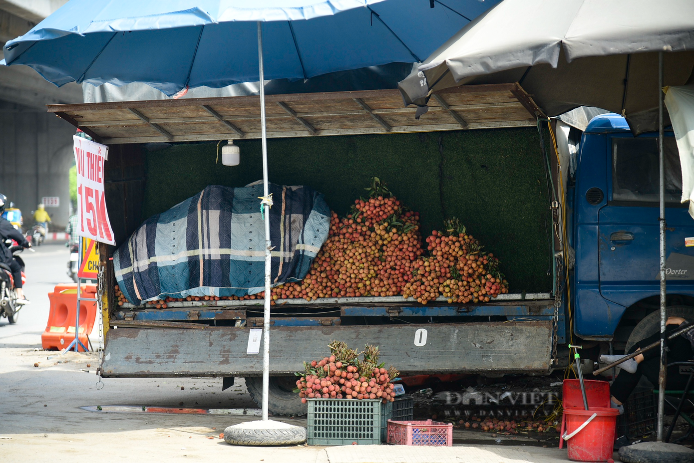 Theo ghi nhận của phóng viên Dân Việt trong, dọc các tuyến phố Hà Nội các xe tải bán vải thiều bắt đầu được bày bán nhiều hơn.