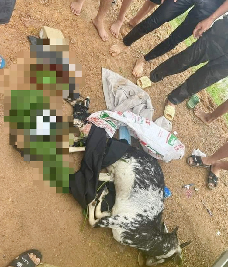 Con dê bị bắn chết (Ảnh: Hoàng Chuyển).