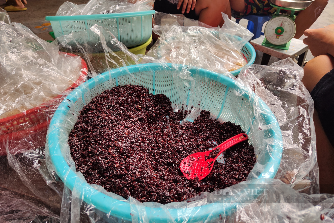 Cơm rượu nếp cẩm cũng rất được ưa chuộng vì màu sắc đẹp. Cơm rượu nếp cẩm cũng rất được ưa chuộng vì màu sắc đẹp.