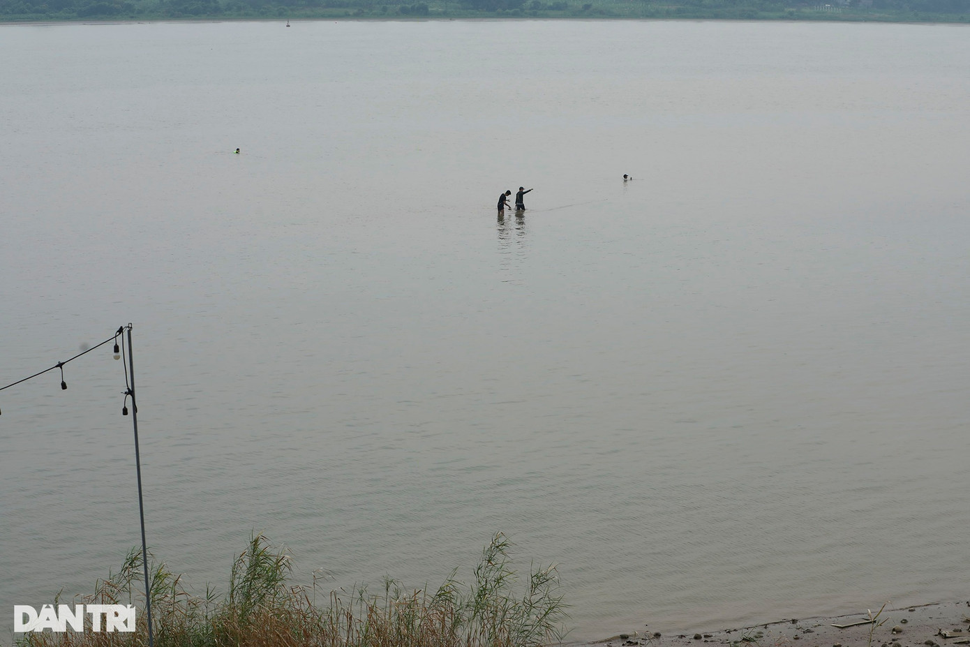 Cảnh lội ra giữa sông Hồng bắt cá, mức nước chỉ qua đầu gối. Cảnh lội ra giữa sông Hồng bắt cá, mức nước chỉ qua đầu gối.