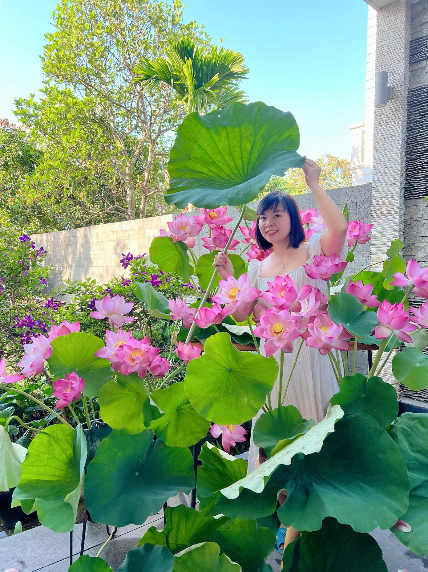 "Việc giữ được lá tươi về đến nhà và để đến hôm sau vô cùng quan trọng. Lá khi hái xong, phải cho vào túi bóng thật to, vì gặp gió thôi lá cũng héo. Về tới nhà, cứ ngâm ngập lá xuống bể nước" - chị Phạm Thảo chia sẻ kinh nghiệm. Ảnh: NVCC