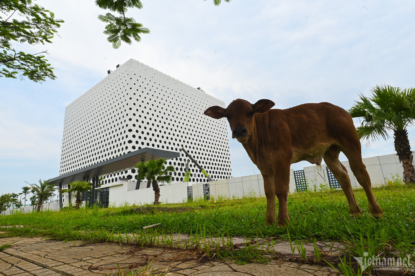 Hà Nội cũng định hướng đô thị Hòa Lạc là trung tâm đầu não về khoa học kỹ thuật công nghệ cao, trung tâm đào tạo, giáo dục chất lượng cao. Hà Nội cũng định hướng đô thị Hòa Lạc là trung tâm đầu não về khoa học kỹ thuật công nghệ cao, trung tâm đào tạo, giáo dục chất lượng cao.