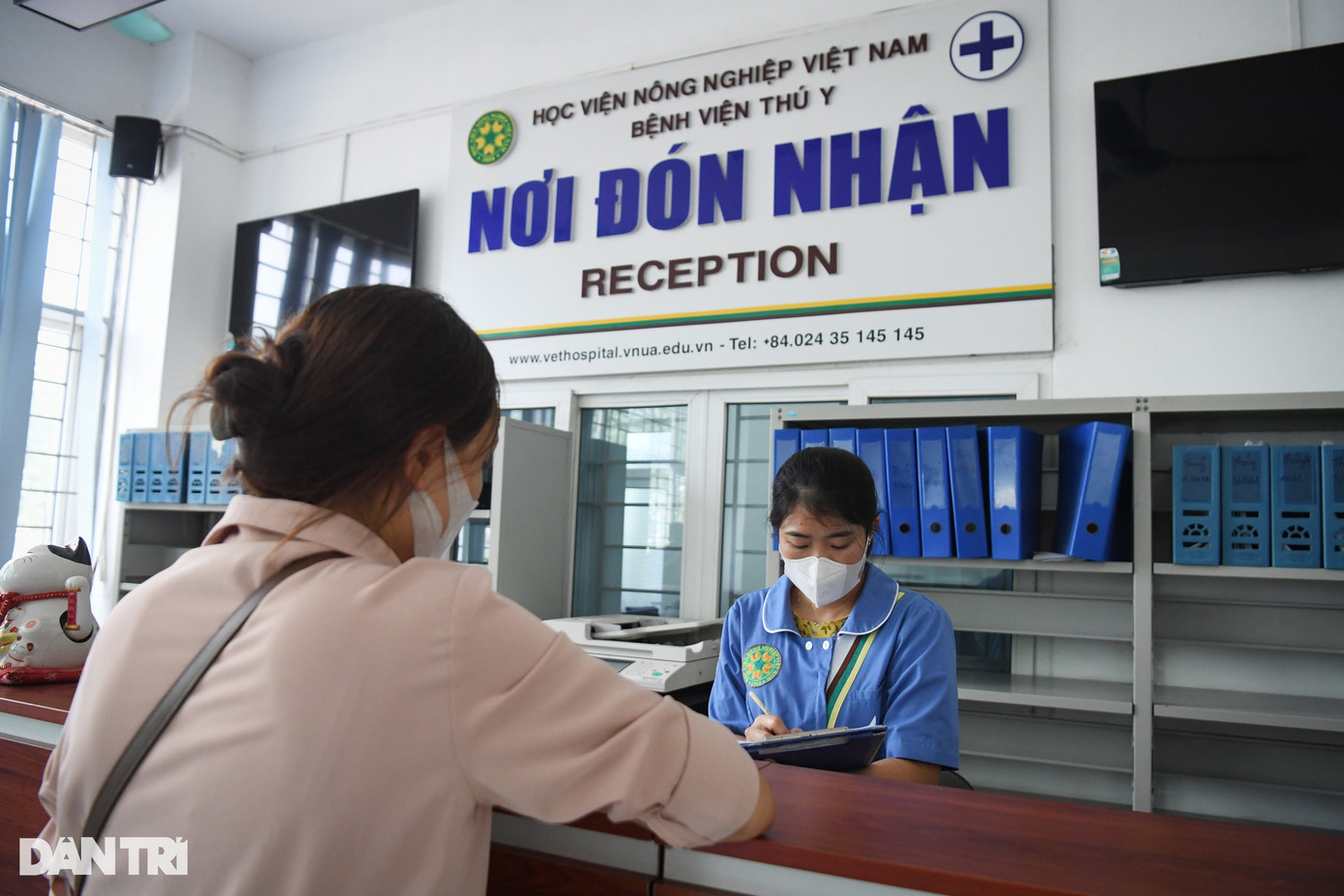 Phát hiện chú mèo cưng tên Miu (2 tháng tuổi) bị ngã từ tầng 3 xuống, chị Lan ngay lập tức đưa thú cưng đến Bệnh viện Thú Y Học viện Nông nghiệp Việt Nam (Hà Nội) cấp cứu. Sau khi cung cấp thông tin bệnh sử và các loại thuốc đã sử dụng, chị Lan được hướng dẫn đưa Miu vào phòng khám.