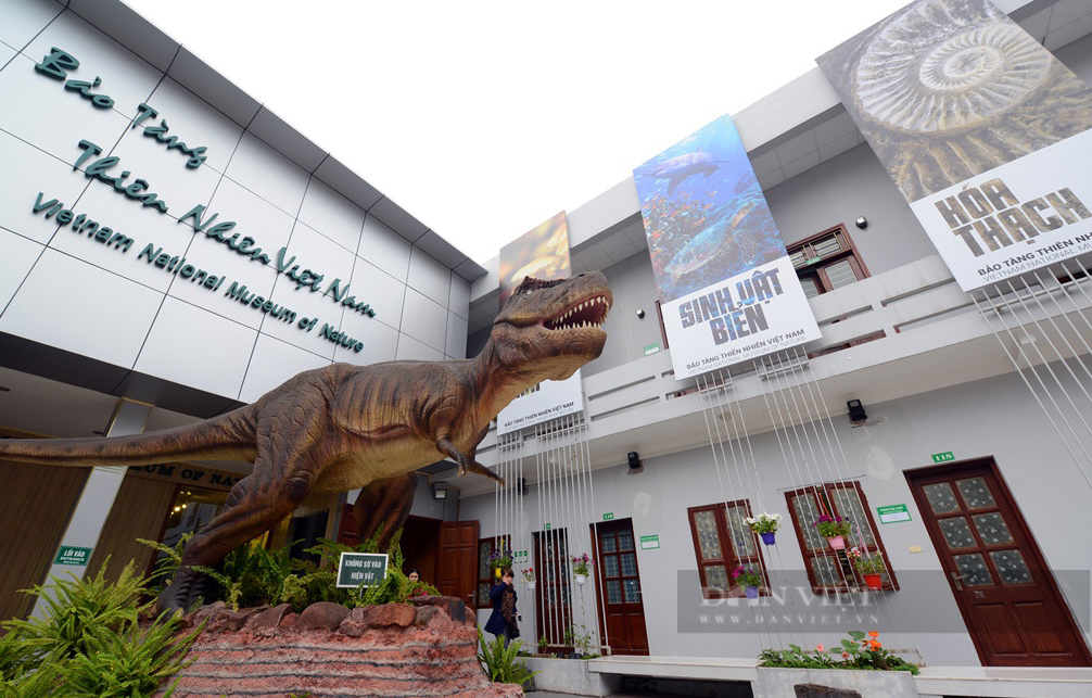 Trong kì nghỉ lễ 30/4 - 1/5 năm nay, các bảo tàng ở Hà Nội như Bảo tàng Thiên nhiên, Bảo tàng Dân tộc học Việt Nam... sẽ tổ chức nhiều hoạt động để có thể phục vụ khách tham quan một cách tối đa. Ảnh: Anh Tuấn. Trong kì nghỉ lễ 30/4 - 1/5 năm nay, các bảo tàng ở Hà Nội như Bảo tàng Thiên nhiên, Bảo tàng Dân tộc học Việt Nam... sẽ tổ chức nhiều hoạt động để có thể phục vụ khách tham quan một cách tối đa. Ảnh: Anh Tuấn.