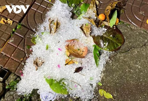 Cảnh báo trong nhiều giờ tới, vùng mây này tiếp tục phát triển và mở rộng gây mưa rào và dông cho các huyện Điện Biên, Mường Ảng, Tuần Giáo, Tủa Chùa và thành phố Điện Biên Phủ. Trong mưa dông cần đề phòng lốc, sét và gió giật mạnh.