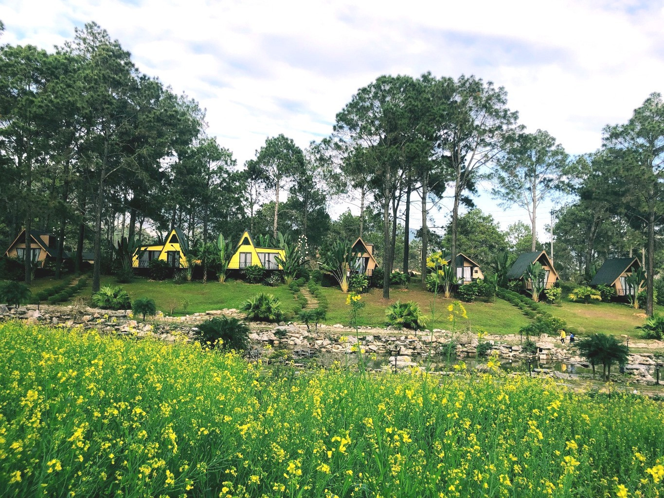 Các homestay, resort ở Mộc Châu đều kín khách đặt dịp 30/4. (Ảnh: Phoenix MC)