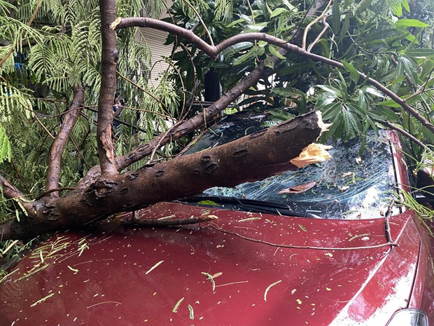 Tuy nhiên, phần kính chắn đầu xe bị hư hỏng nặng. (Ảnh: PV/Vietnam+)