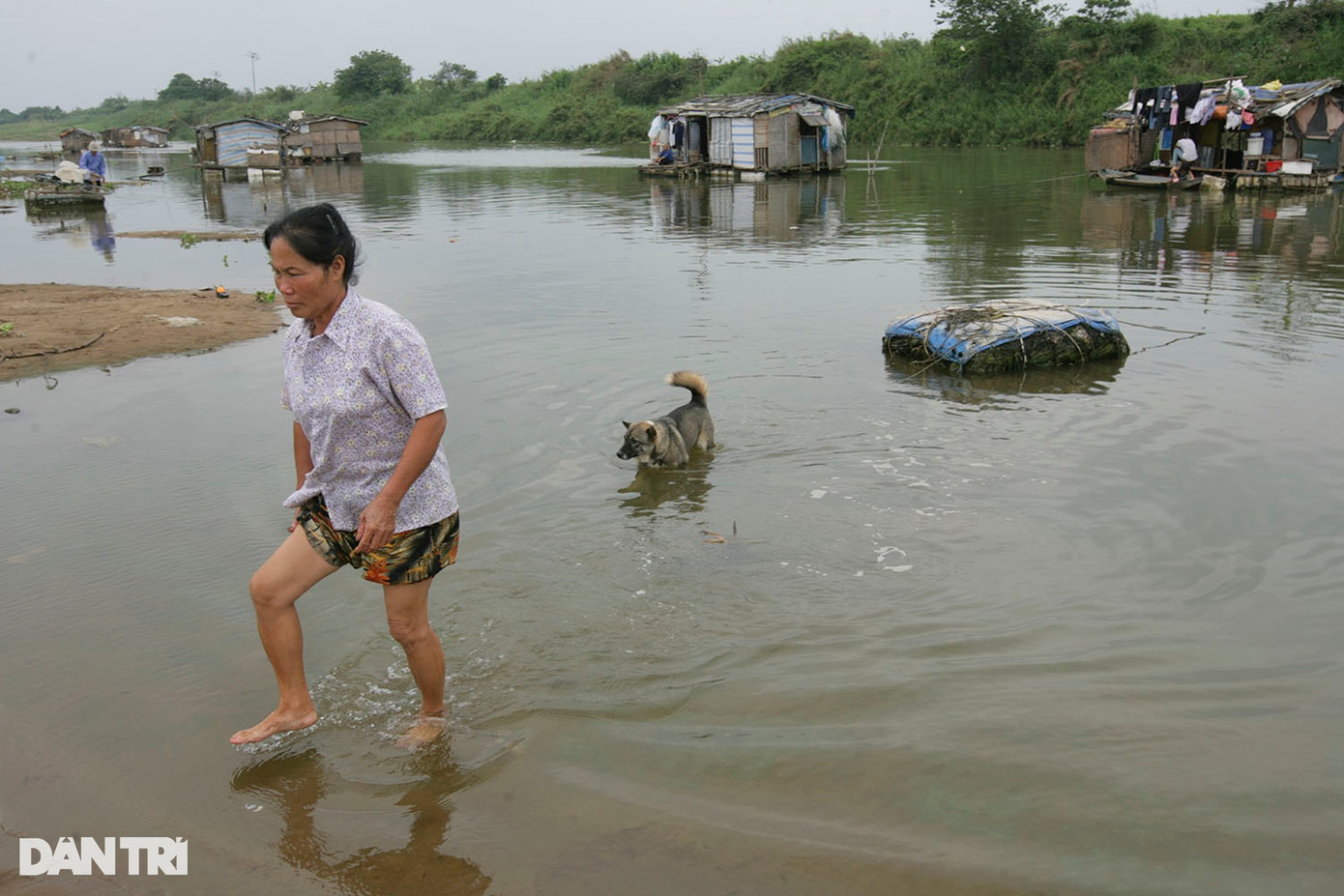 Xóm thuyền bè tại đoạn sông Hồng phía sau chợ Long Biên, ảnh chụp năm 2008. Thời điểm này dòng chảy vẫn lưu thông, có thể thấy rõ làn nước trong và bãi cát trắng. Hiện tại đoạn sông này đã trở thành khu vực ô nhiễm nặng, bốc mùi nồng nặc do không còn dòng chảy, nước đen kịt, tù đọng.