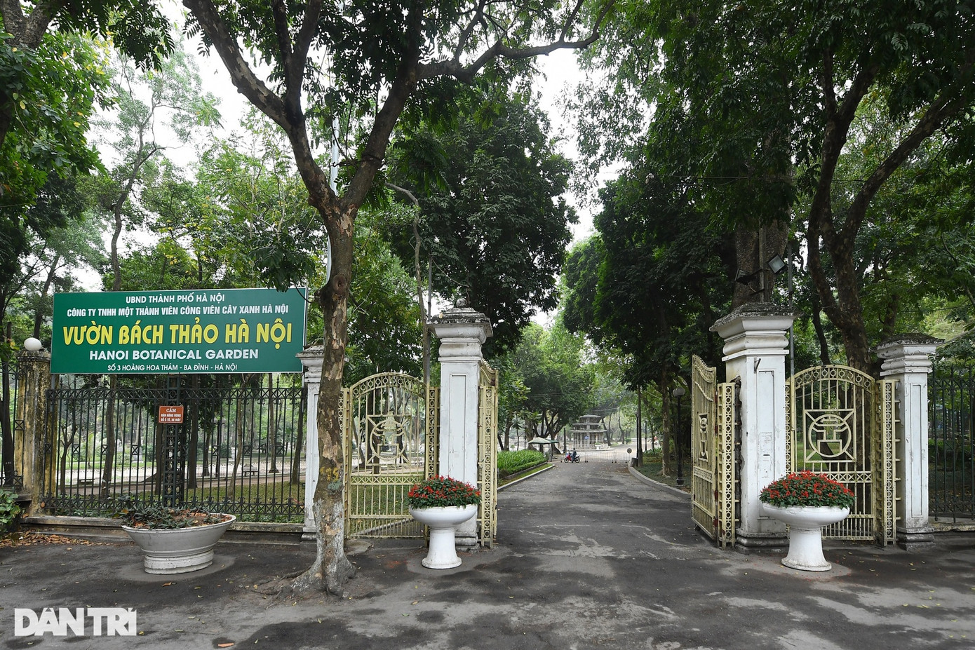 Vườn bách thảo Hà Nội hay còn gọi là Công viên Bách Thảo nằm trên đường Hoàng Hoa Thám (quận Ba Đình), được ví như lá phổi xanh của thủ đô với những cây cổ thụ lớn, thân to bằng vòng tay 3 - 4 người ôm.