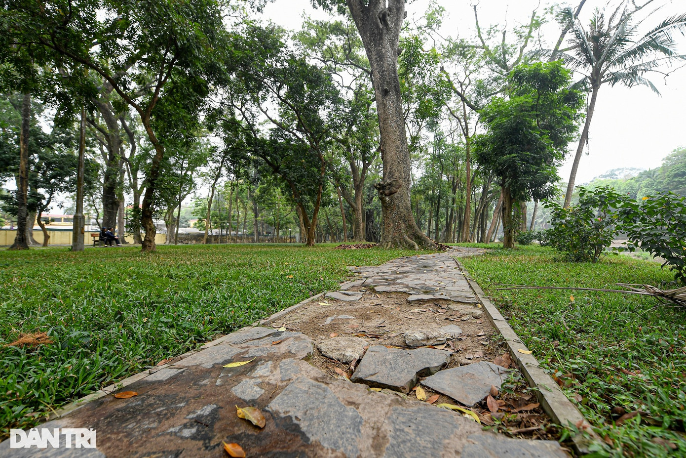 Ông Đinh Tiến Dũng (trú ở quận Ba Đình) cũng mong muốn các cấp chính quyền sớm nâng cấp, cải tạo lại Công viên Bách Thảo và chặt hạ, di chuyển các cây đã chết đi nơi khác, trồng thay thế cây mới bởi mùa mưa bão sắp đến gần, nếu để các cây chết trong công viên sẽ rất nguy hiểm.