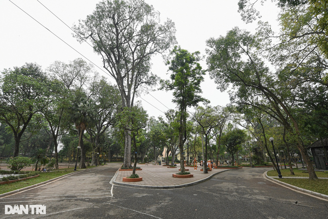 Đứng từ xa du khách ấn tượng bởi một màu xanh ngắt của khu vườn bách thảo, bởi những loài cây đặc trưng của các cánh rừng nhiệt đới ẩm, nhiều cây gỗ quý hiếm có tuổi đời hàng trăm năm và các loài thực vật lạ từ nhiều vùng đất trên khắp thế giới. Điển hình của Công viên Bách Thảo là những cây cau, dừa, cọ khổng lồ vươn thẳng lên trên như những cột trụ chống trời; những gốc đa, gốc si 3 - 4 người ôm không xuể với bộ rễ sần sùi,... Tuy nhiên lượng người dân, du khách đến với Công viên Bách Thảo không còn đông đúc như trước. Vào buổi sáng, trưa khá vắng vẻ, chỉ buổi chiều có đông người dân đến đây tập thể dục.