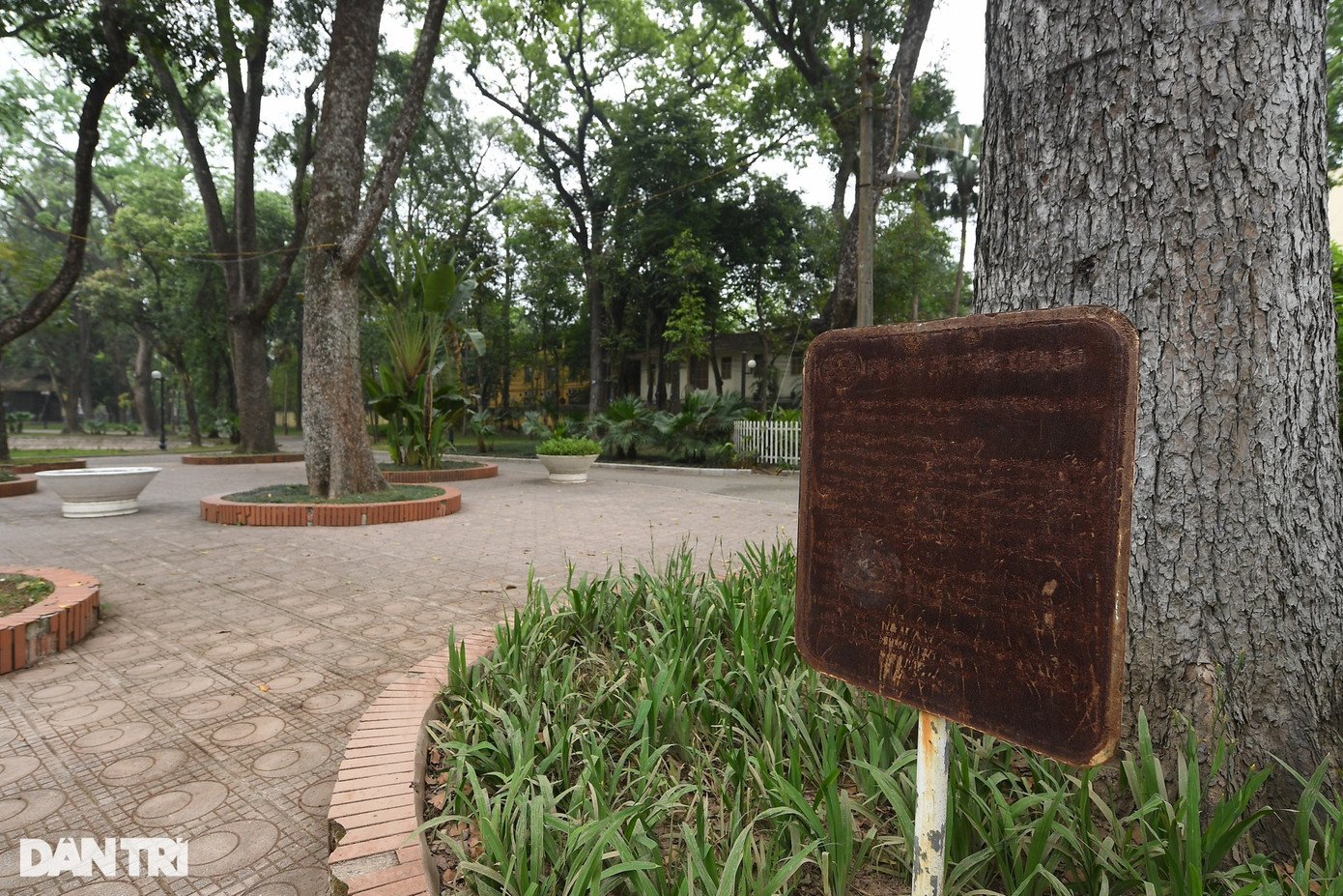 Tấm biển báo cây trồng trong công viên đã không còn nhìn rõ chữ do bị hoen gỉ. Trong thời gian tới, Công viên Bách Thảo sẽ được Hà Nội cải tạo, nâng cấp tổng thể. Sở Xây dựng Hà Nội đang phối hợp với các sở, ngành xác định tài sản phục vụ công cộng và tài sản thành phố giao cho các doanh nghiệp quản lý khai thác. Trên cơ sở đó, Sở Xây dựng đề xuất thành phố triển khai dự án cải tạo, nâng cấp cũng như đặt hàng, đấu thầu duy tu, duy trì theo quy định.