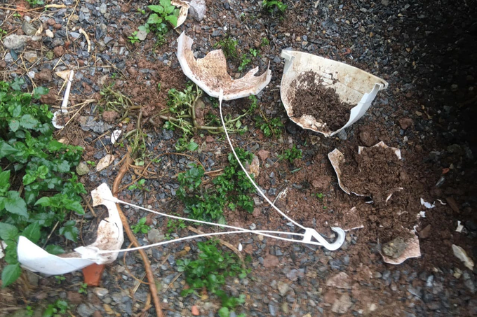 Chậu hoa tại hiện trường (Ảnh: Hoàng Mạnh). Chậu hoa tại hiện trường (Ảnh: Hoàng Mạnh).