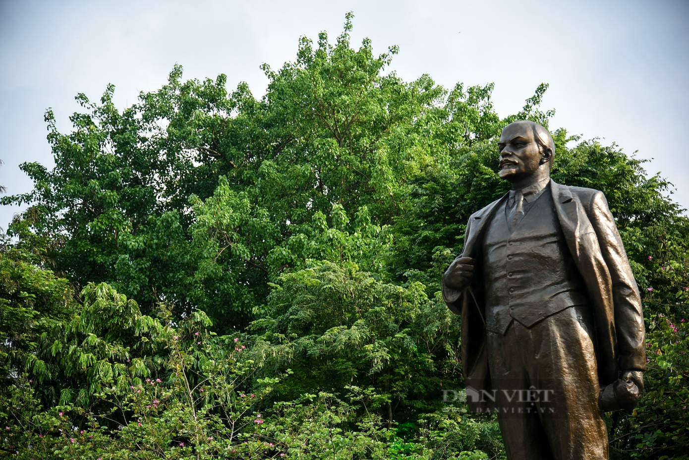 Cạnh tượng đài vườn hoa Lê Nin cũng có nhiều cây hoa sưa nổi tiếng.