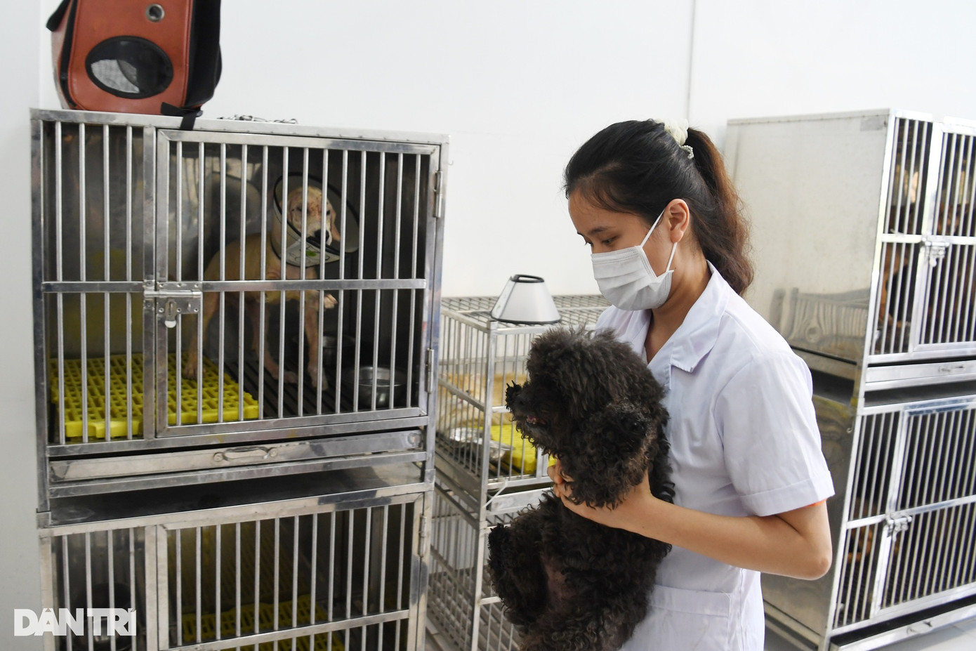 Tại bệnh viện này có cả phòng khám bệnh, khu điều trị nội trú, khu điều trị bệnh truyền nhiễm riêng biệt với phòng áp lực âm, phòng áp lực dương để phòng ngừa lây nhiễm.