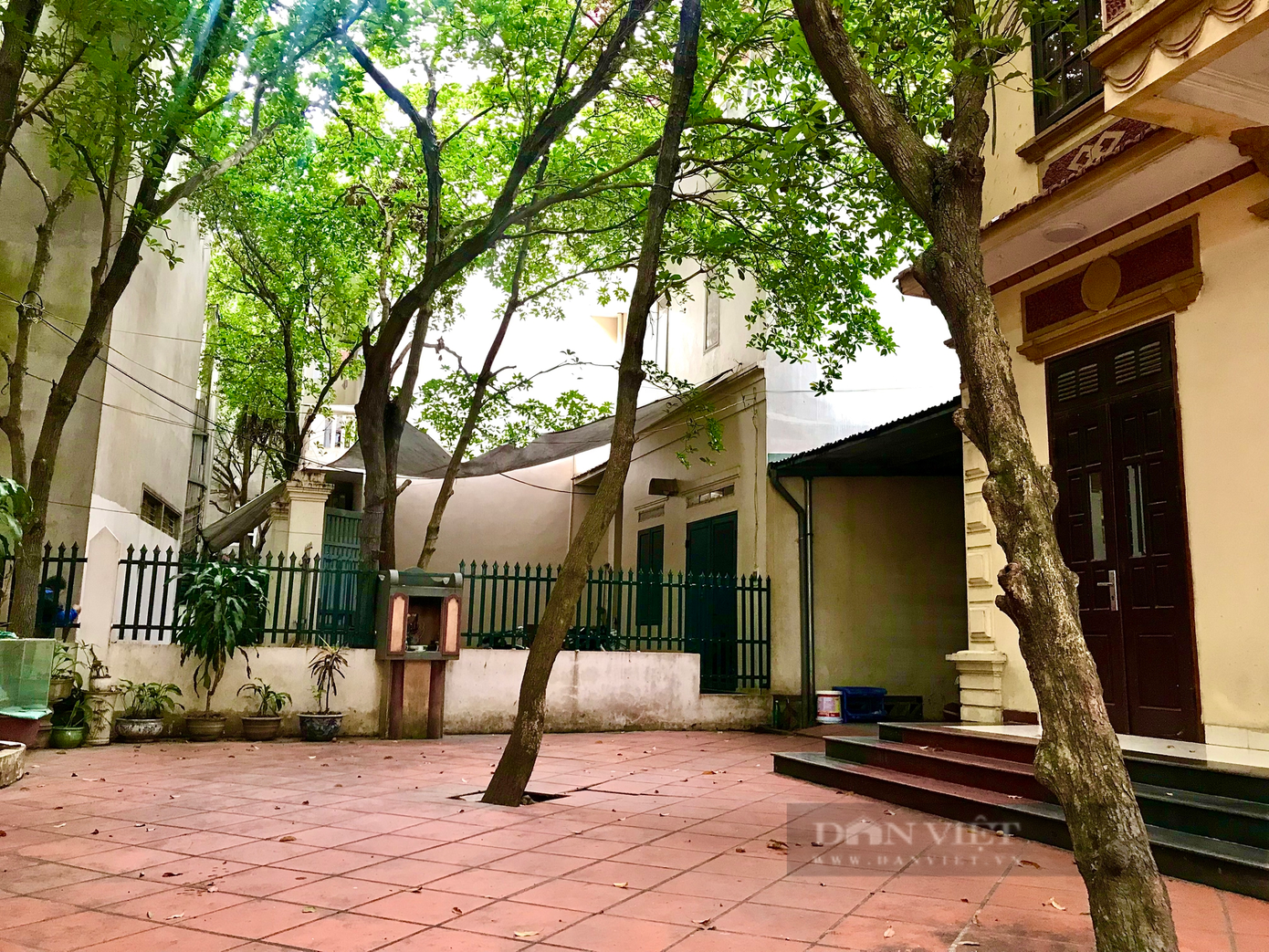 Những gốc hồng xiêm hơn 50 tuổi được trồng trong vườn nhà ông Tần. Ảnh: Nguyễn Tùng. Những gốc hồng xiêm hơn 50 tuổi được trồng trong vườn nhà ông Tần. Ảnh: Nguyễn Tùng.