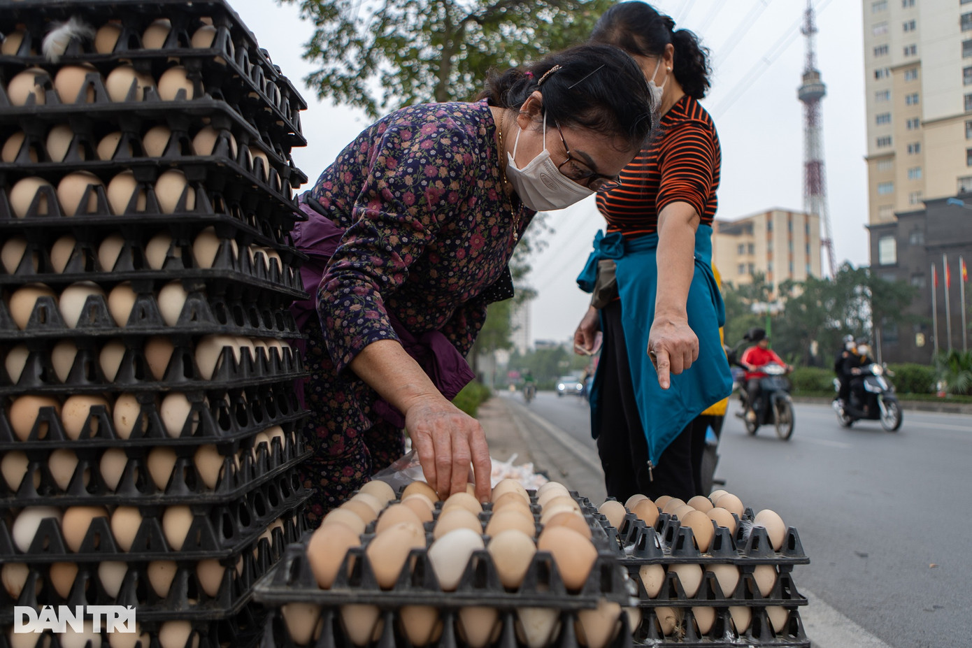 Tại đây, người mua được phép lựa chọn từng quả trứng theo ý mình, sau đó người bán mới đóng gói.