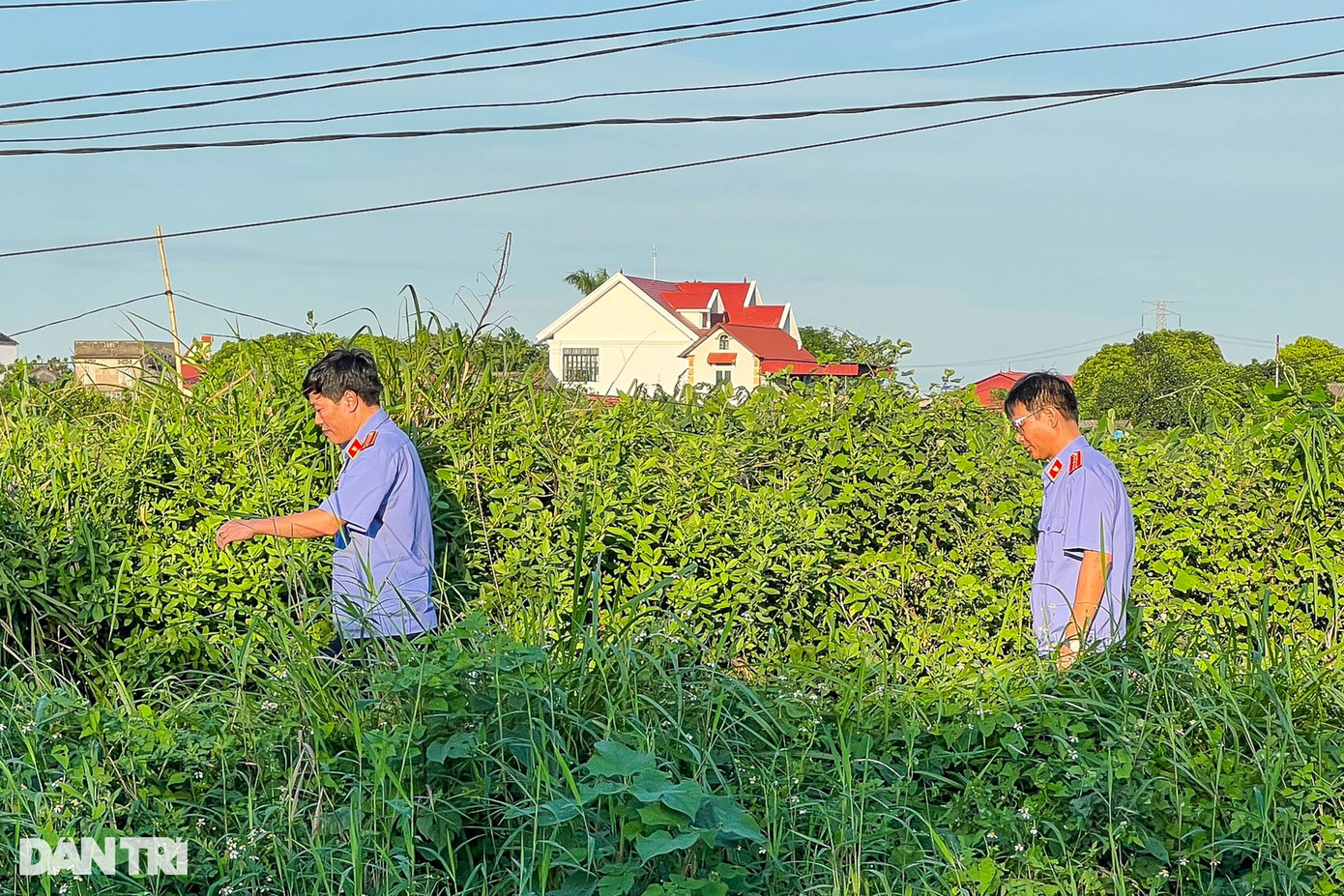 17h10 phút cùng ngày, cán bộ Viện kiểm sát rời khỏi khu vực phát hiện thi thể cháu bé. Theo nguồn tin của phóng viên Dân trí, nghi phạm trong vụ việc trên là giúp việc cho gia đình bé gái, sinh năm 1996, quê Bắc Giang. Nguồn tin của phóng viên Dân trí cho biết, bước đầu, cơ quan chức năng xác định động cơ của nghi phạm gây án là để tống tiền.