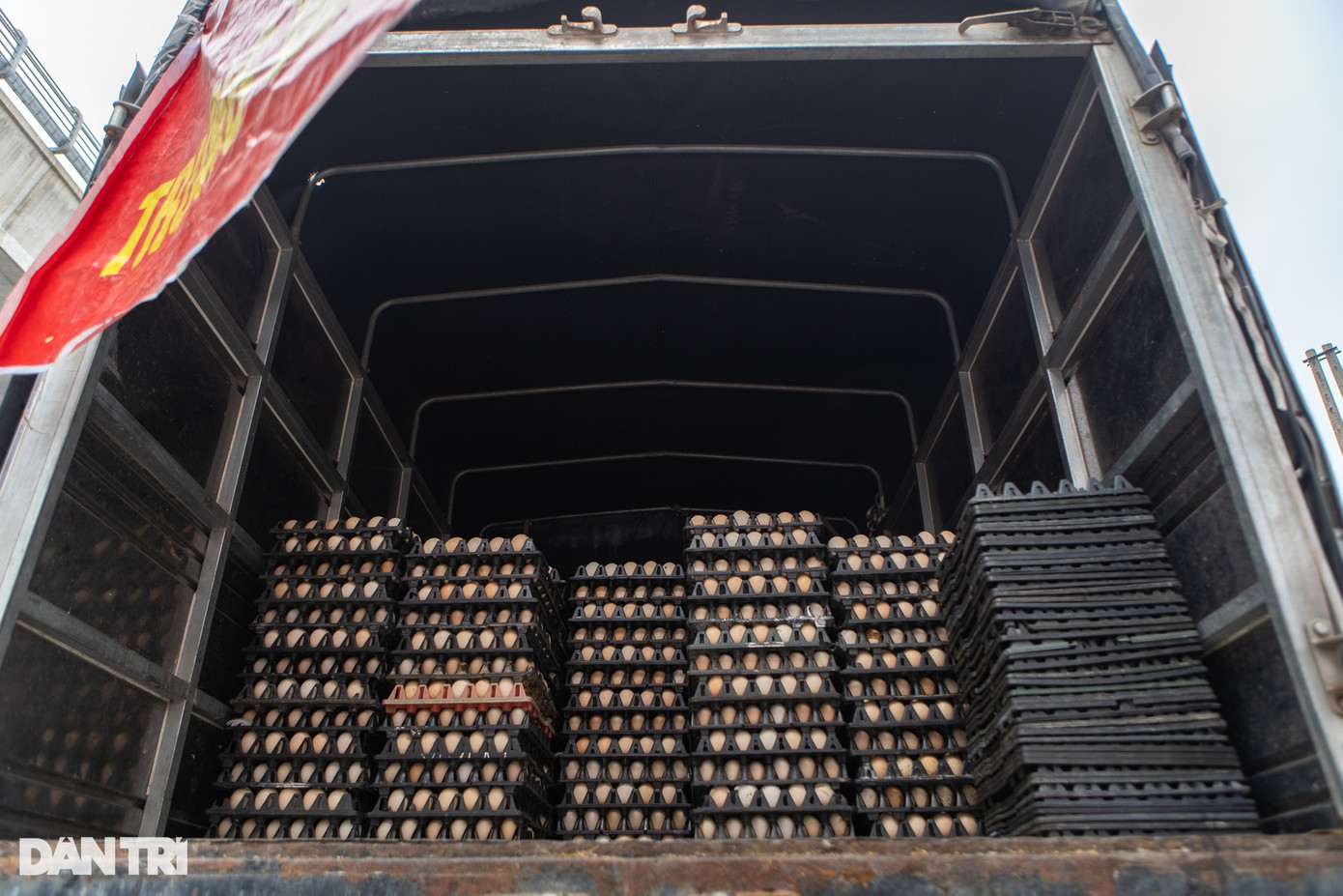 Mỗi ngày tại các điểm &quot;giải cứu&quot;, các nhóm gồm 2 - 3 người, làm việc liên tục từ 7 giờ đến 19 giờ, tiêu thụ 6.000 - 9.000 quả trứng.