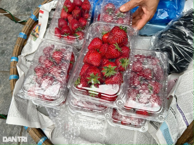 Những hộp dâu tây "siêu rẻ" được bày bán tràn lan khắp Hà Nội. Những hộp dâu tây "siêu rẻ" được bày bán tràn lan khắp Hà Nội.