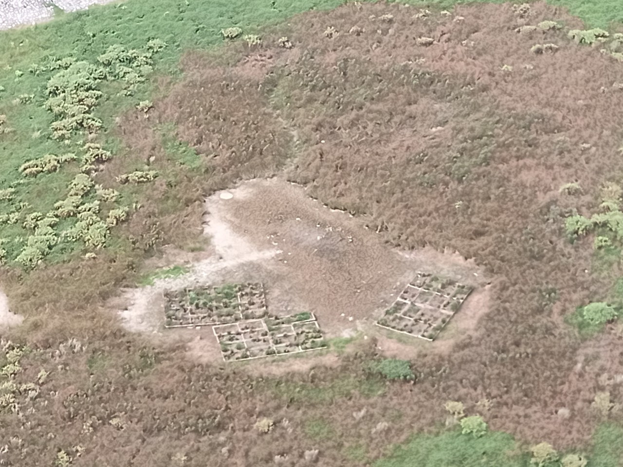 Cỏ cây khô cằn vì hồ không có nước. Ảnh: Đ.H