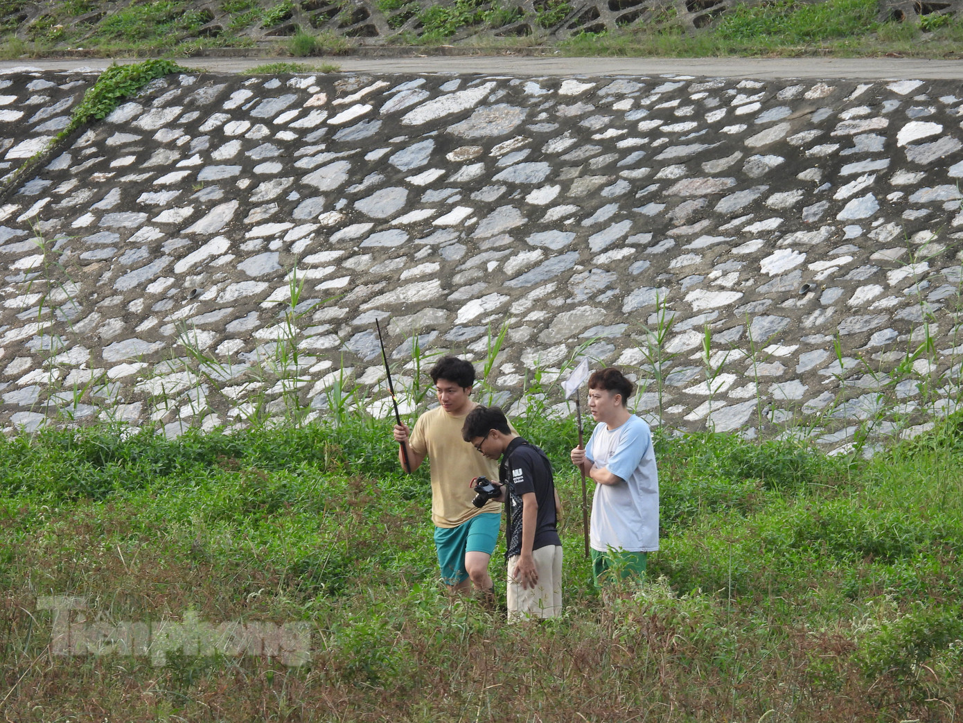 Sau những ngày mưa lớn các thanh niên đi vợt cá rô. Ảnh: M.Đ