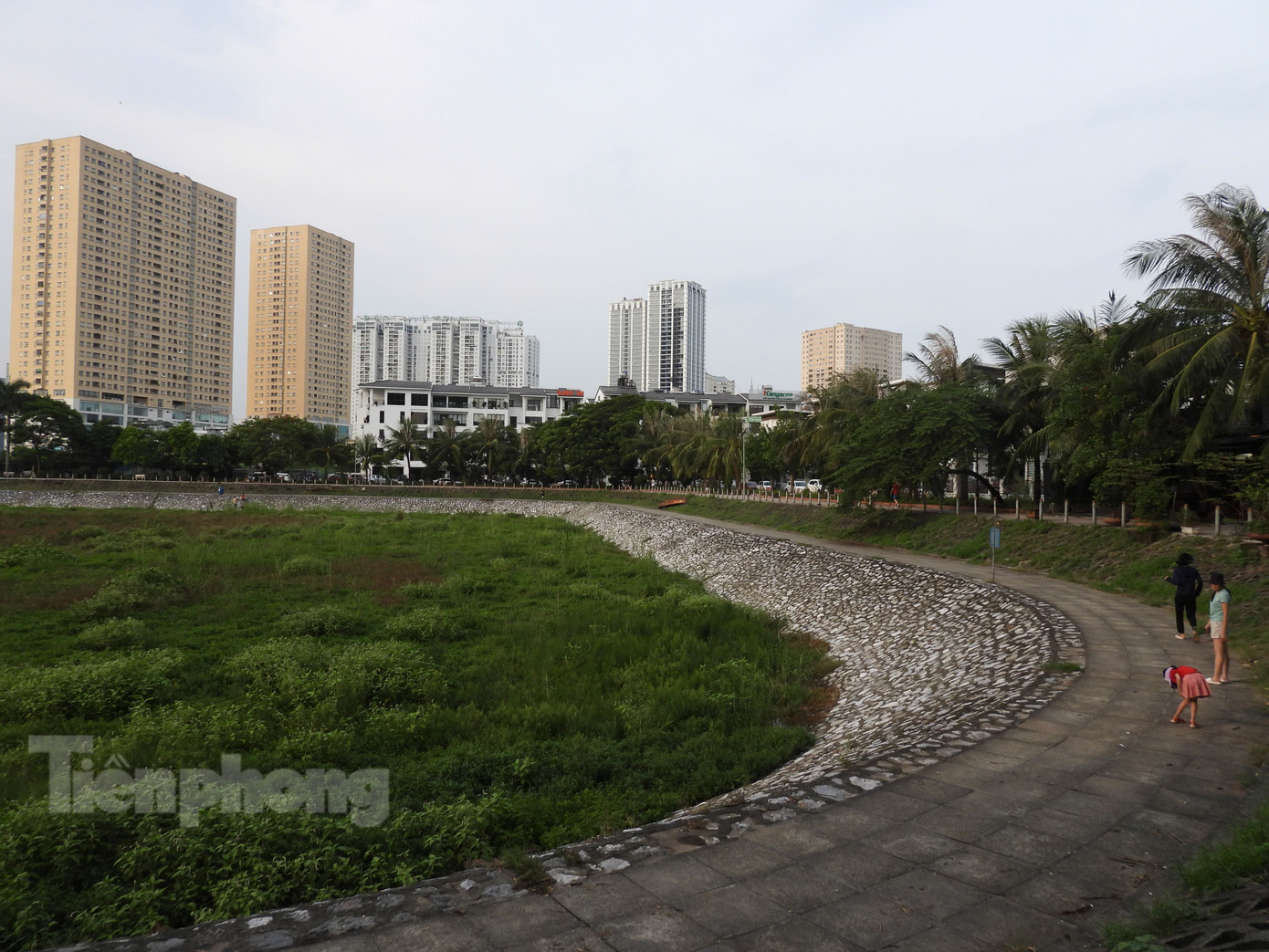 Cỏ dại vẫn mọc um tùm. Ảnh: Đ.H