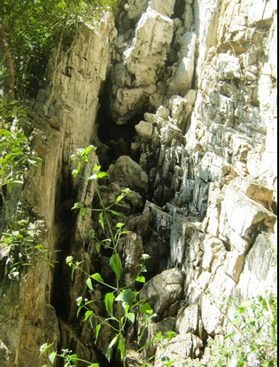 Cửa Hang Hòm rộng tầm 3m, cao chừng 4m