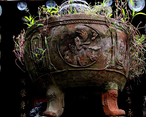 Bộ sưu tập nghìn món độc, lạ của lão 'dị nhân' miền Tây ảnh 11