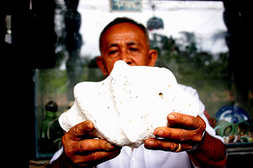 Bộ sưu tập nghìn món độc, lạ của lão 'dị nhân' miền Tây ảnh 8