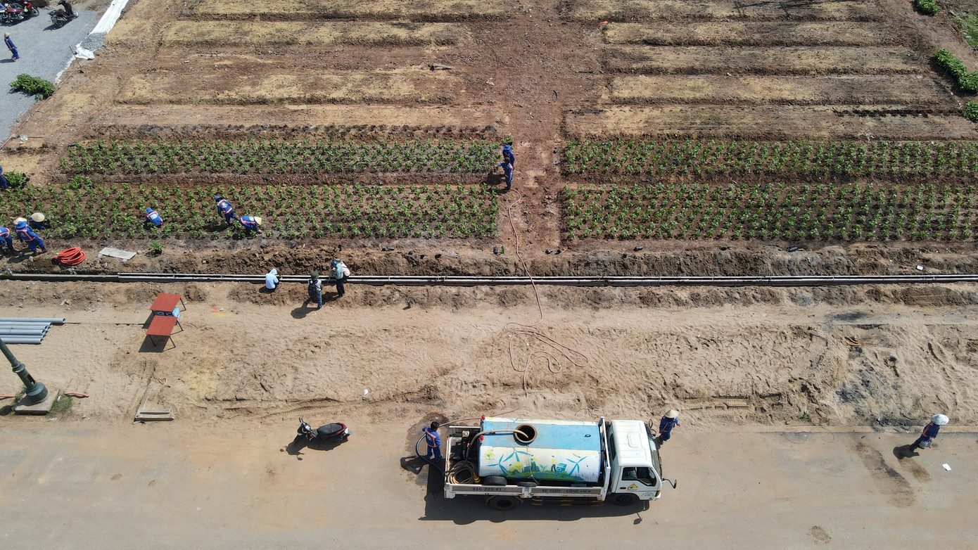 Dự kiến vườn hoa hướng dương ở công viên bờ sông Sài Gòn sẽ hoàn thành vào dịp Tết Dương lịch 2024 sắp đến.