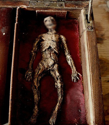 Bộ sưu tập xương người tý hon dưới hầm lâu đài cũ ảnh 3