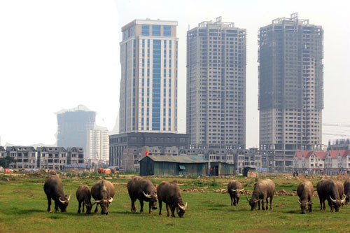 Ồ ạt mua đất là 'chôn' tiền vào đất ảnh 2
