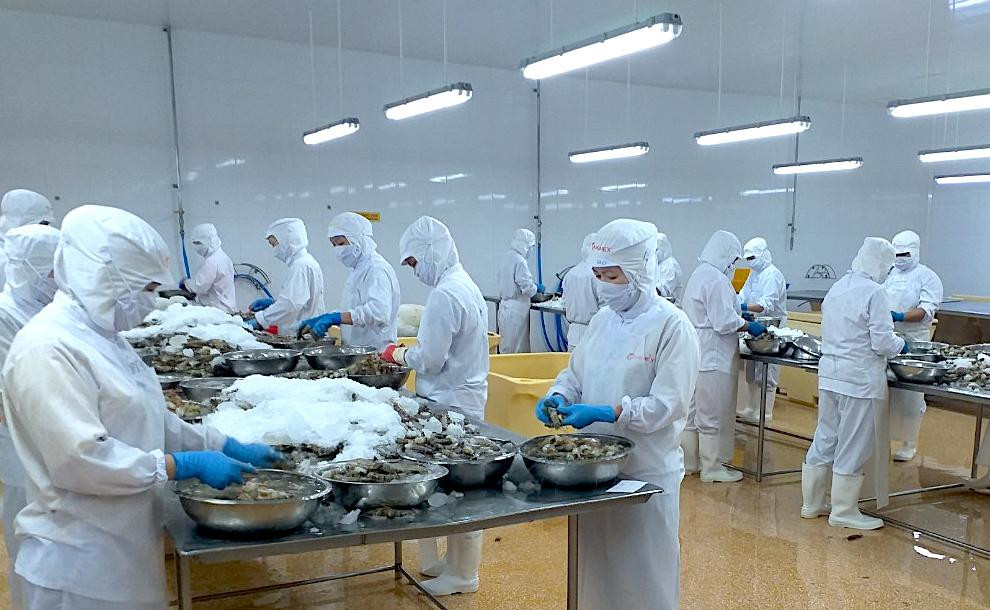 Các doanh nghiệp chế biến thuỷ sản xuất khẩun giãn cách trong quá trình sản xuất