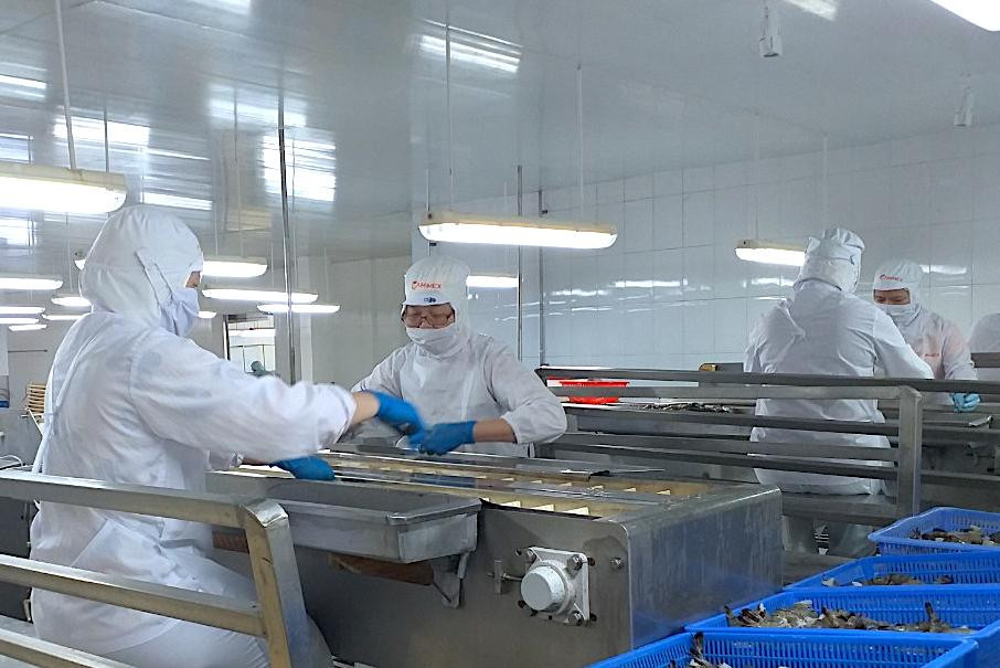 Việc hỗ trợ lao động đã góp phần các doanh nghiệp duy trì sản xuất trong đại dịch