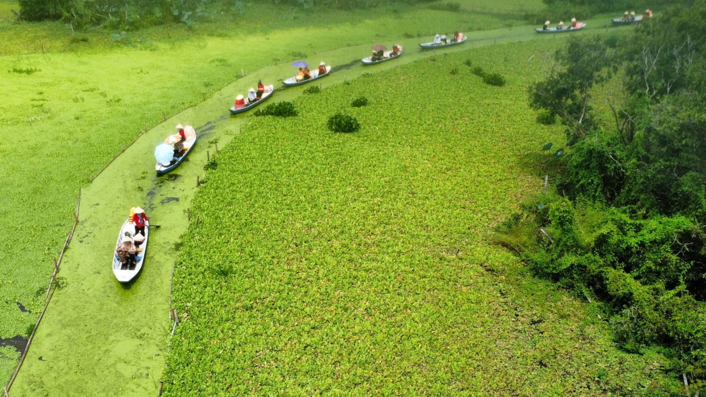 Trà Sư là một khu rừng tràm ngập nước huyền bí và quyến rũ. Được ca ngợi là “rừng tràm đẹp nhất Việt Nam”, nơi mà thảm động thực vật vô cùng phong phú, thiên nhiên và con người hòa quyện vào nhau để tạo nên một bức tranh sống động đầy màu sắc.