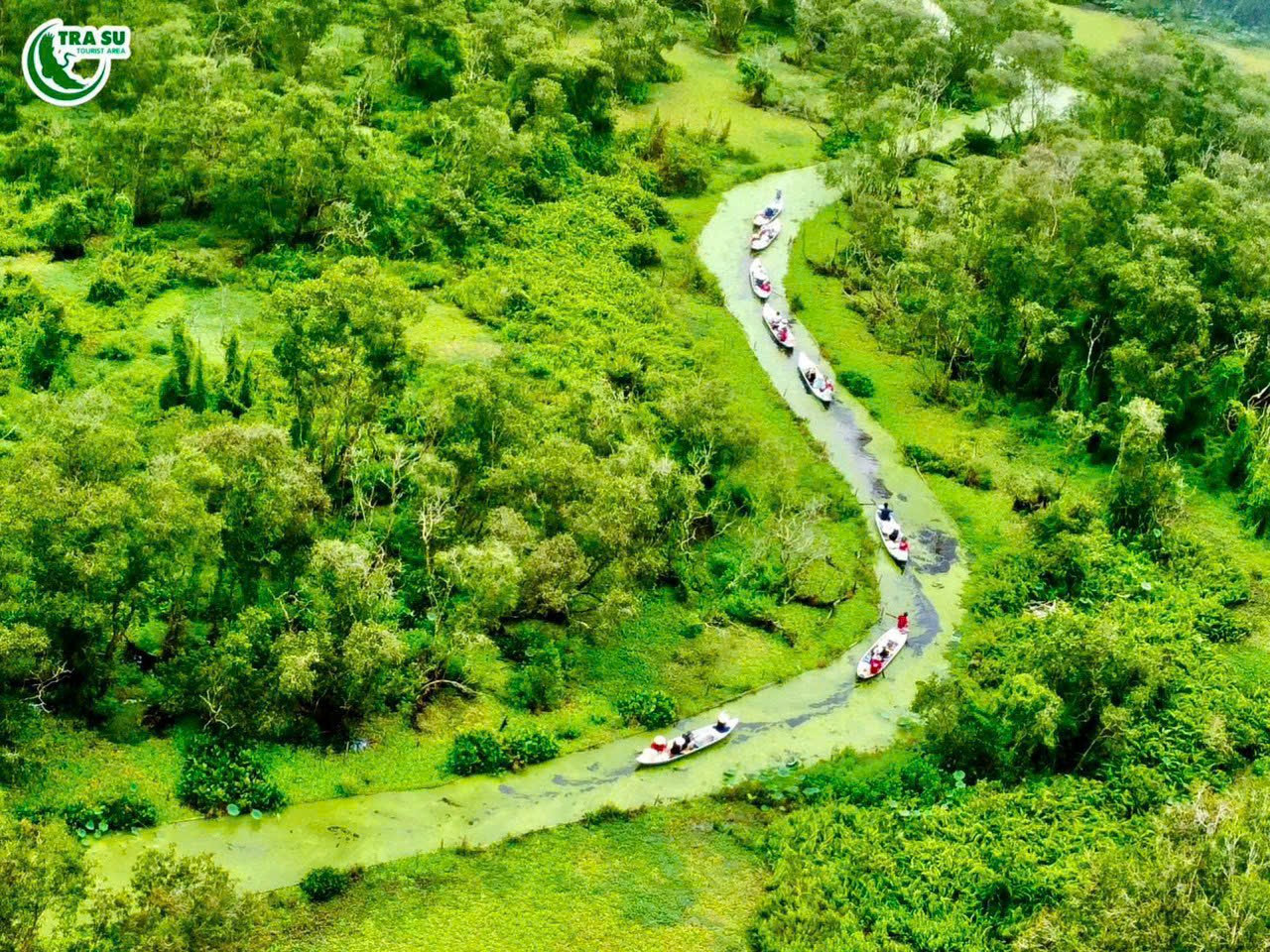 Một màu xanh vô cùng ngoạn mục