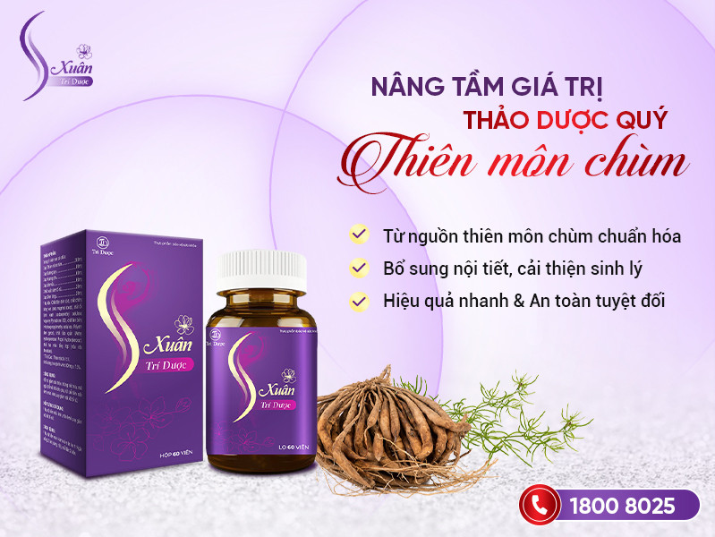 S Xuân Trí Dược: Nâng tầm giá trị thảo dược quý Thiên môn chùm S Xuân Trí Dược: Nâng tầm giá trị thảo dược quý Thiên môn chùm