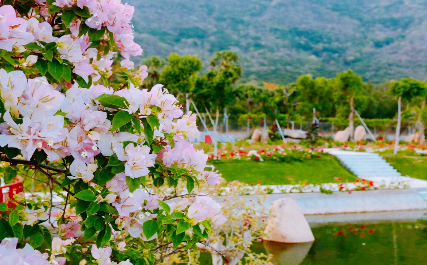 Thơ mộng cung đường hoa ven hồ Thiên cảnh