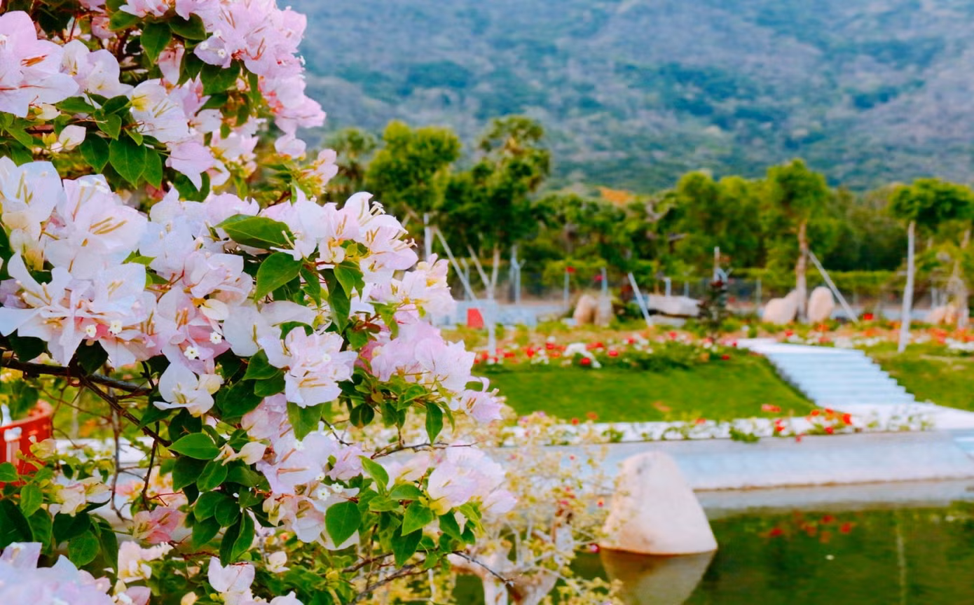 Thơ mộng cung đường hoa ven hồ Thiên cảnh