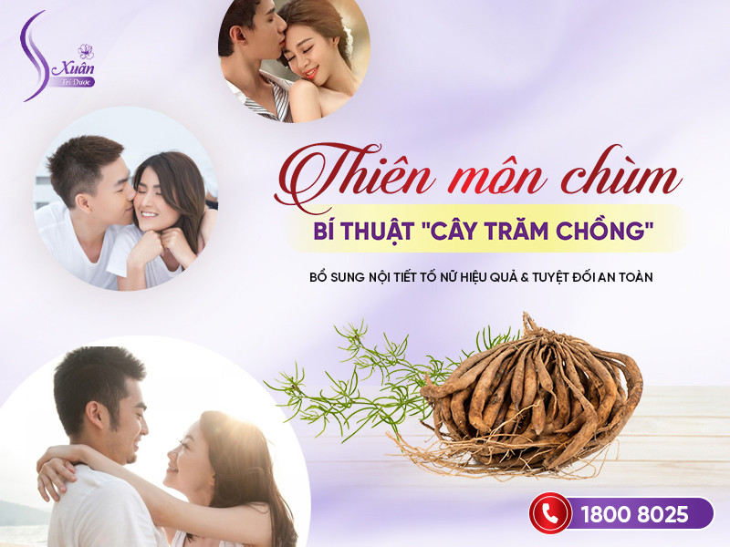 Thiên môn chùm: Thảo dược quý cho sức khỏe, sắc đẹp & sinh lý nữ Thiên môn chùm: Thảo dược quý cho sức khỏe, sắc đẹp & sinh lý nữ