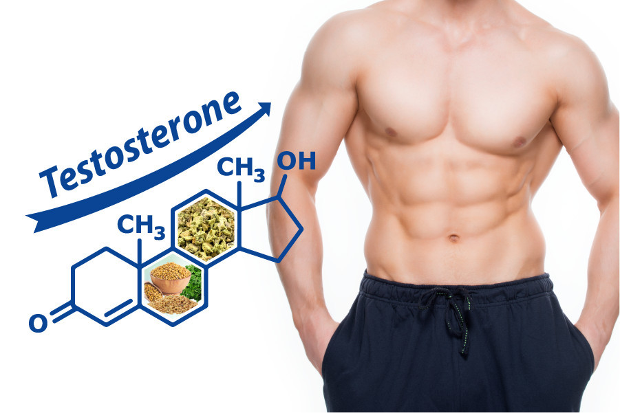 Sử dụng tinh chất thiên nhiên kích thích cơ thể sản xuất Testosterone nội sinh là giải pháp an toàn