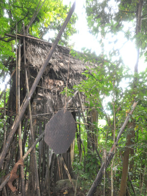 Nơi ở của hai cha con “người rừng”. Nơi ở của hai cha con “người rừng”