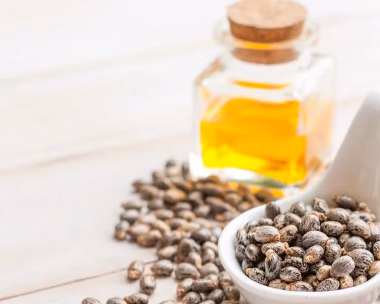 Dầu thầu dầu (Castor Oil) là một loại dầu béo không bay hơi, được chiết xuất từ hạt của cây thầu dầu. Tinh dầu của nó được sử dụng từ rất lâu đời trong thực phẩm, mỹ phẩm và hỗ trợ bảo vệ sức khoẻ.