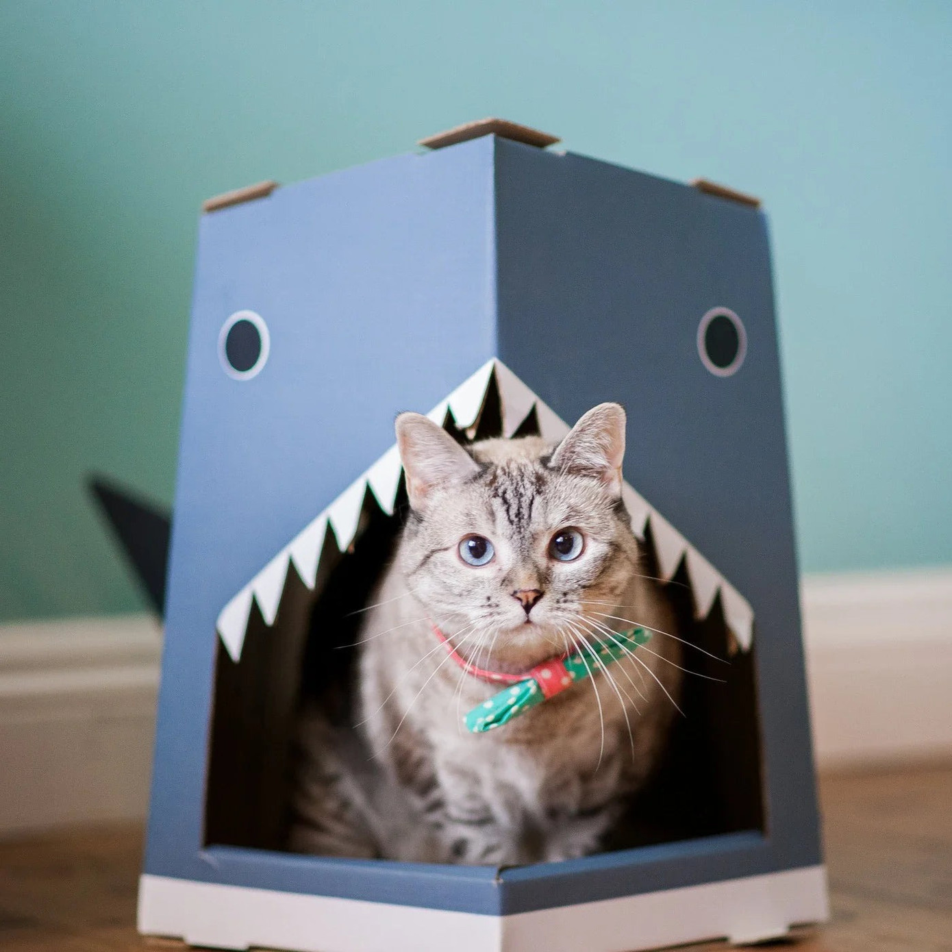 Nala nhận về 15.000 đôla (gần 350 triệu đồng) cho mỗi một bài đăng quảng cáo.