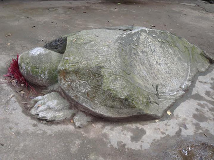 Di tích bị bỏ quên ảnh 5